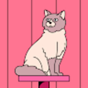 Meet your Posher, Mikelle